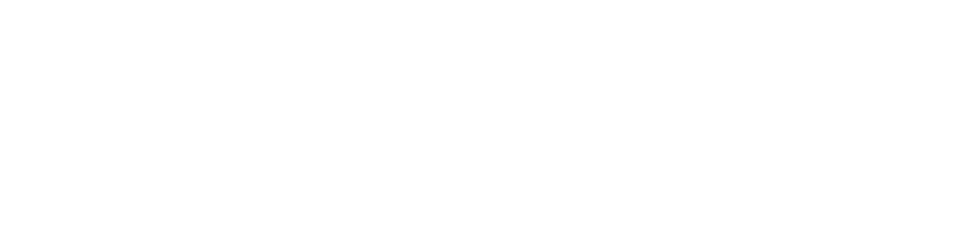 PayDownPath
